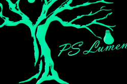 P.S.Lumen����Ѥ����ŰǤǸ���ž夬��