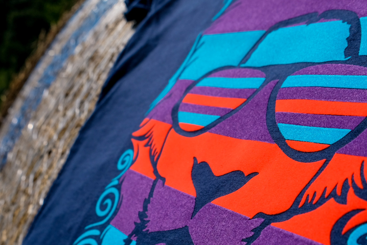 ��������ž�̥����ȥե��å��� �٥�٥å�Ĵ�ε����Ǻ�