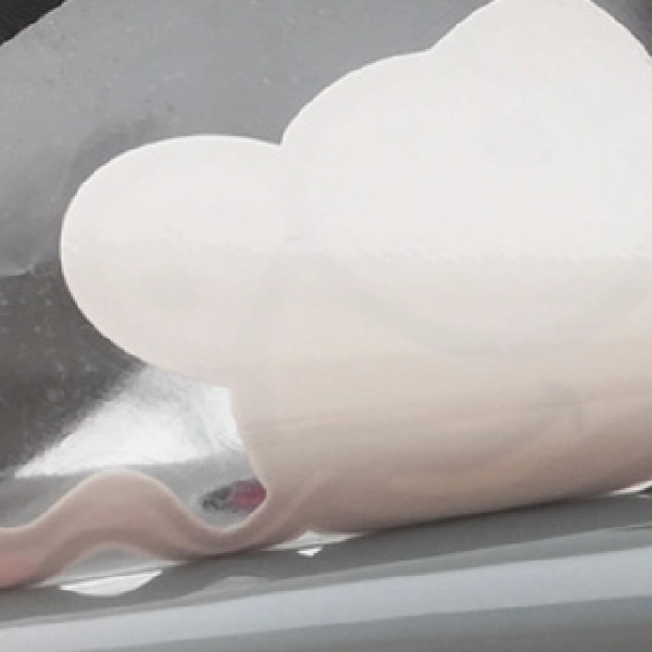 ��������ץ��ȥ�������Ʃ��Ǵ�奷���� A4������ 5������