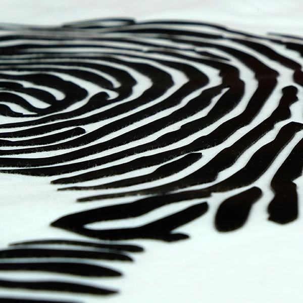 ��������ž�̥����� ��� �ۥ磻�� ��300��500mm