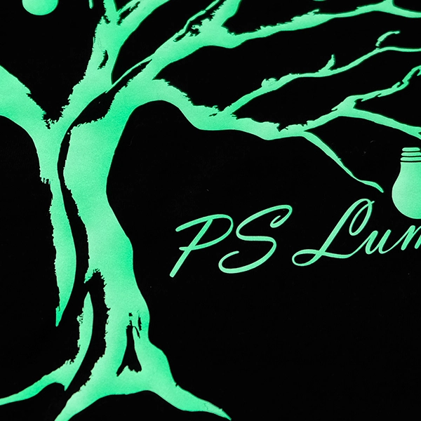 ��������ž�̥����� �߸� �ۥ磻�� A4 2������