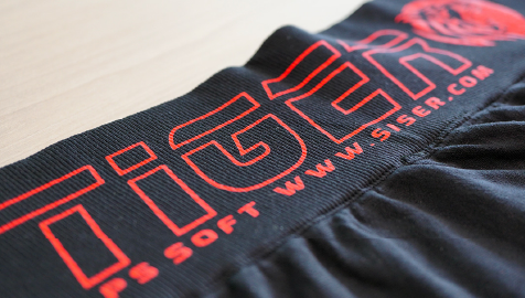 �ץ���ǧ���������Ȱ�������