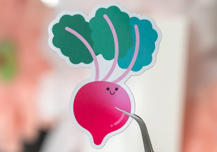 �ץ��ȥ��ƥå��� �ޥ��ͥåȤǺ���������̾��������